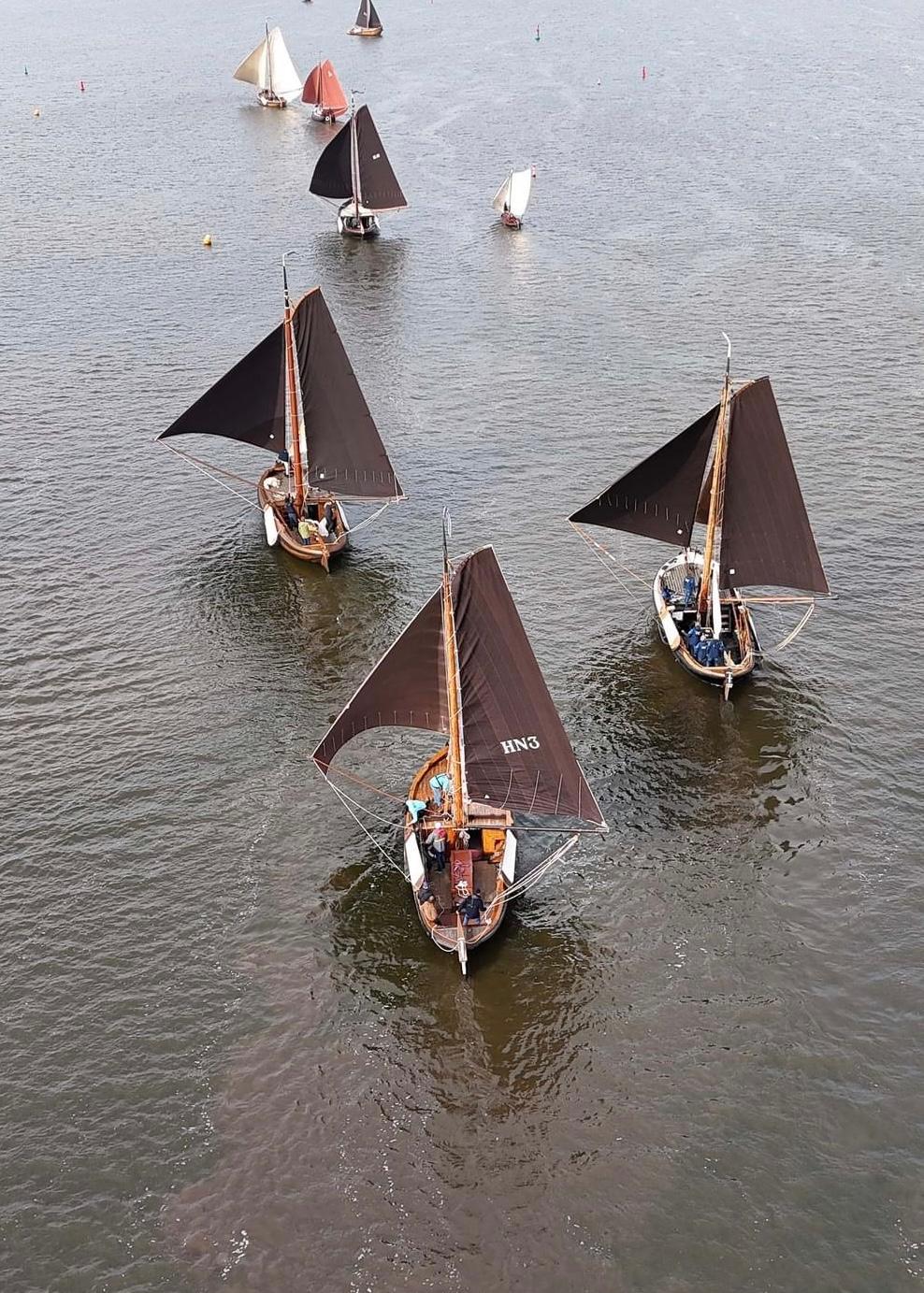 Borrelvaart plus